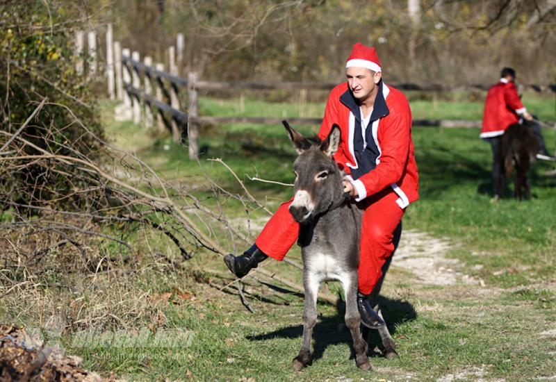 FOTO | Jozo i magarac Eustahije i ove godine pobjednici božićne utrke